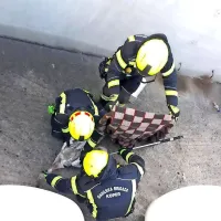 Gasilci re&scaron;ili laboda, ujetega med plinskimi jeklenkami