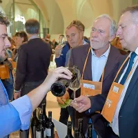 Nara&scaron;čajoče zanimanje za slovenska vina