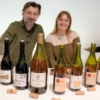 Nara&scaron;čajoče zanimanje za slovenska vina