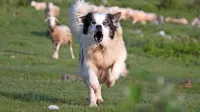 Fotografija je simbolična.