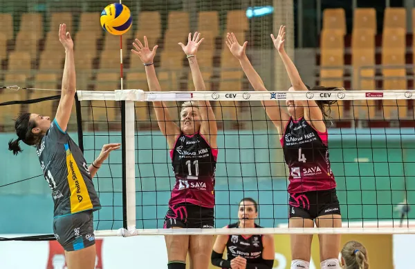 Tina Lipicer Samec