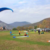 50 padalcev pristalo v sredi&scaron;ču mesta