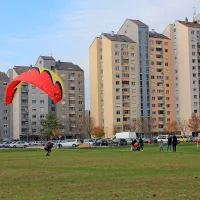 50 padalcev pristalo v sredi&scaron;ču mesta