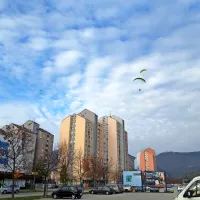 50 padalcev pristalo v sredi&scaron;ču mesta