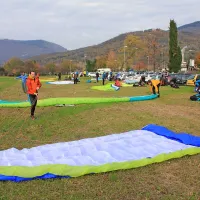50 padalcev pristalo v sredi&scaron;ču mesta
