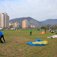 50 padalcev pristalo v sredi&scaron;ču mesta