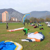 50 padalcev pristalo v sredi&scaron;ču mesta