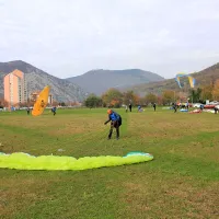 50 padalcev pristalo v sredi&scaron;ču mesta