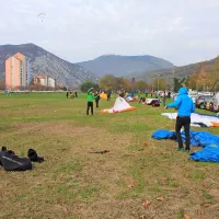 50 padalcev pristalo v sredi&scaron;ču mesta
