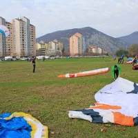 50 padalcev pristalo v sredi&scaron;ču mesta