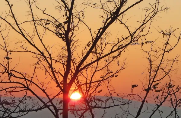 Fotografija je simbolična.