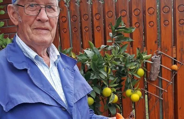 Bernard Vovk