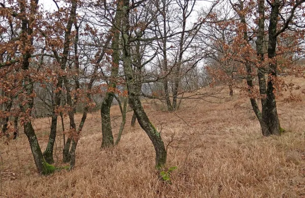 Fotografija je simbolična.