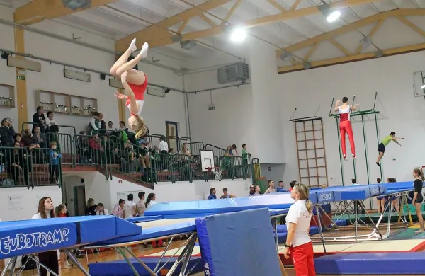 Tekmovalci iz Renč predstavljajo slovenski vrh skokov na veliki 
prožni ponjavi. 