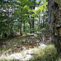 Notranjsko-primorski rezervat Snežnik-Ždrocle.