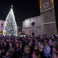 Božično-novoletno jelko na Titovem trgu krasita  približno dva 
kilometra svetlobnih verig, približno 30 svetlečih krogel in 20 
utripajočih lučk.