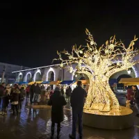 Miklavžev sejem na Carpacciovem trgu