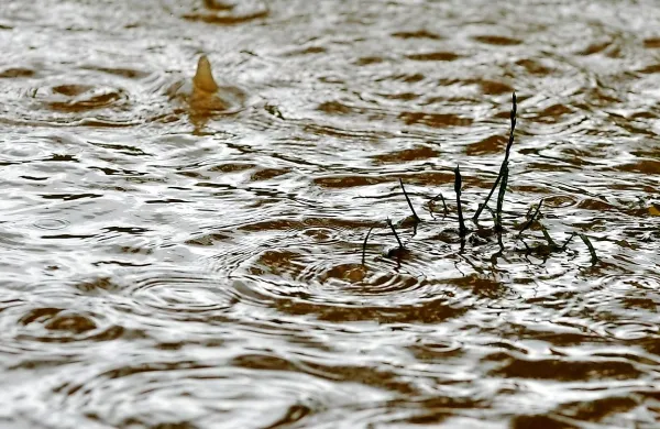 Poplave na severu Cipra z obilnim dežjem s točo in vetrom so v 
četrtek zahtevale  smrtne žrtve.