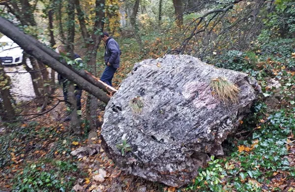Večjo skalo je k sreči ustavilo drevo. 
