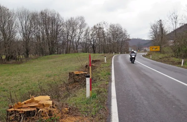 74 dreves padlo pod gasilskimi žagami