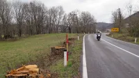 74 dreves padlo pod gasilskimi žagami
