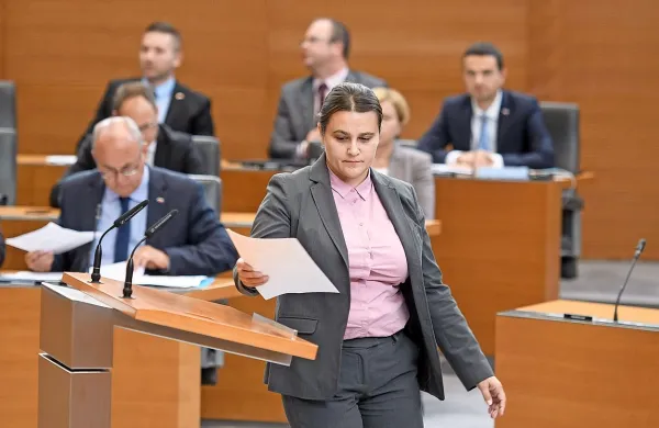 Stranki SDS in SNS sta konec novembra v državni zboru vložili 
predlog za posvetovalni referendum o dogovoru ZN o migracijah. 