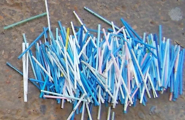 V Evropski uniji je bil dosežen dogovor o prepovedi plastike za 
enkratno uporabo, kot so na primer  slamice.