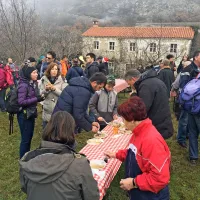 Tudi v Zanigradu tradicionalno žegnanje konj