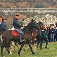 Tudi v Zanigradu tradicionalno žegnanje konj