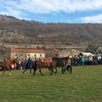 Tudi v Zanigradu tradicionalno žegnanje konj