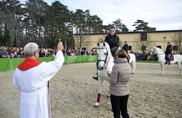 Ob prazniku sv. &Scaron;tefana tudi žegnanje lipicancev
