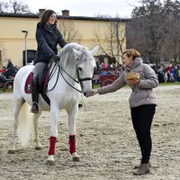 Ob prazniku sv. &Scaron;tefana tudi žegnanje lipicancev