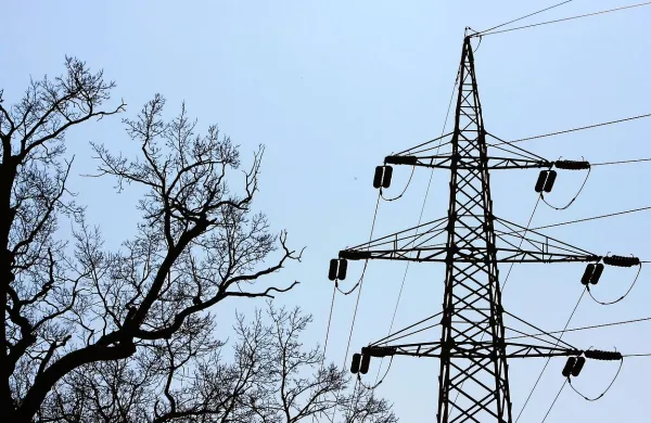 Zniževanje tarifnih postavk omrežnine  je predvsem posledica 
načrtovanega trenda rasti porabe električne energije.