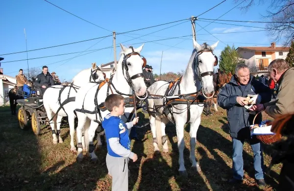 Že 14. žegnanje konj na Krasu