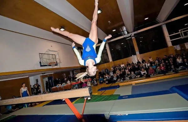 Pred člani GGD in njihovimi svojci sta nastopila tudi državna 
reprezentanta v športni gimnastiki Jure Pavlica in Adela Šajn.
