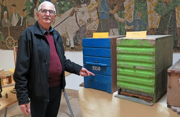 Poznavalec bistriškega čebelarstva Niko Dodič  ob pestri zbirki 
panjev v Muzeju čebelarstva v Ilirski Bistrici pove marsikaj 
zanimivega o tej stari dejavnosti.

 