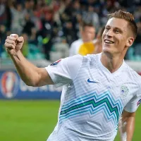 Valter Birsa