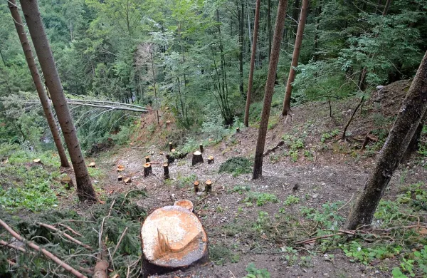 Fotografija je simbolična.