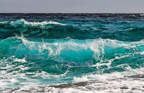 Svetovni oceani se pospešeno segrevajo, globalno segrevanje pa 
ogroža raznolikost morskega življa in preskrbo s hrano, opozarjajo 
znanstveniki.
