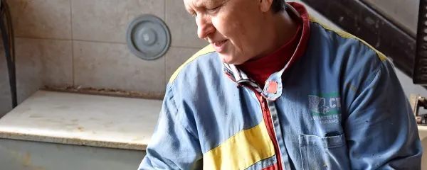 Solkanski regut je cvet v gumbnici gori&scaron;kih okusov