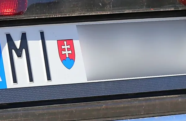 Tudi v Sloveniji je vse več avtomobilov s tujimi registrskimi tablicami, ki pri nas niso le na kratkem 
obisku.


