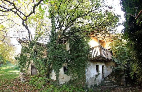 Vasica Slapnik v severnem delu Goriških Brd je že več deset let 
zapuščena, zaradi privlačne lege in predvsem arhitekture pa 
potekajo prizadevanja za njeno oživitev. 