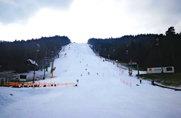 Snežni kontrolor Fis prižgal zeleno luč za 55. Zlato lisico v Mariboru