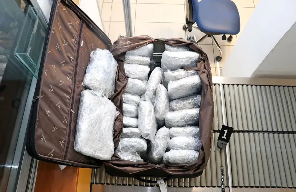 Policisti Postaje mejne policije Gruškovje so v  kovčku voznika 
avtobusa kosovskih registrskih oznak, 31-letnega državljana Črne 
Gore, našli 25 zavojev prepovedane droge konoplje.