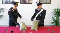 Goriški orožniki so pri Logatčanu in Novogoričanki v avtu našli 1,1 
kilograma marihuane, zasegli so tudi tri mobilne telefone.