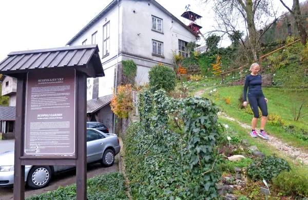 Znamenitemu zdravniku in naravoslovcu je posvečen   tudi Scopolijev spominski vrt v Idriji. 