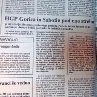 Z združitvijo Hotelsko gostinskega podjetja Park in hotela Sabotin 
so si na Goriškem obetali boljšo gostinsko in turistično ponudbo. 