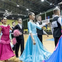 Zvezdni&scaron;ko slovo ajdovskih profesionalcev