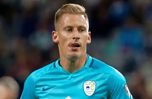 Valter Birsa
