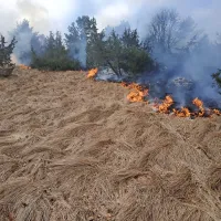Pogasili so ga tudi brez leteče cisterne